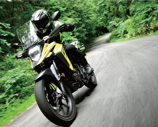 Suzuki V-Strom SX 250